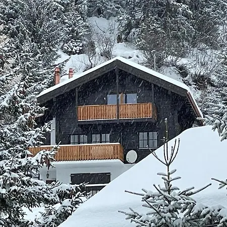 Apartment Am Buehl Eg Bettmeralp